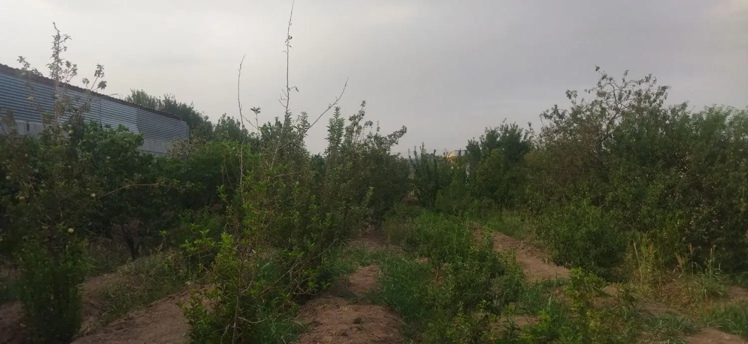 باغ با برق شخصی قلعه سفید نجف آباد