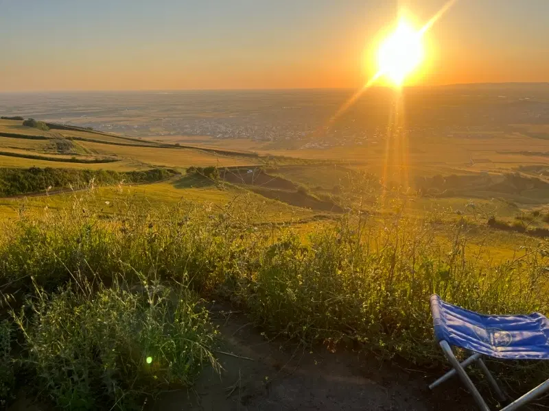 زمین کشاورزی در یاساقلق