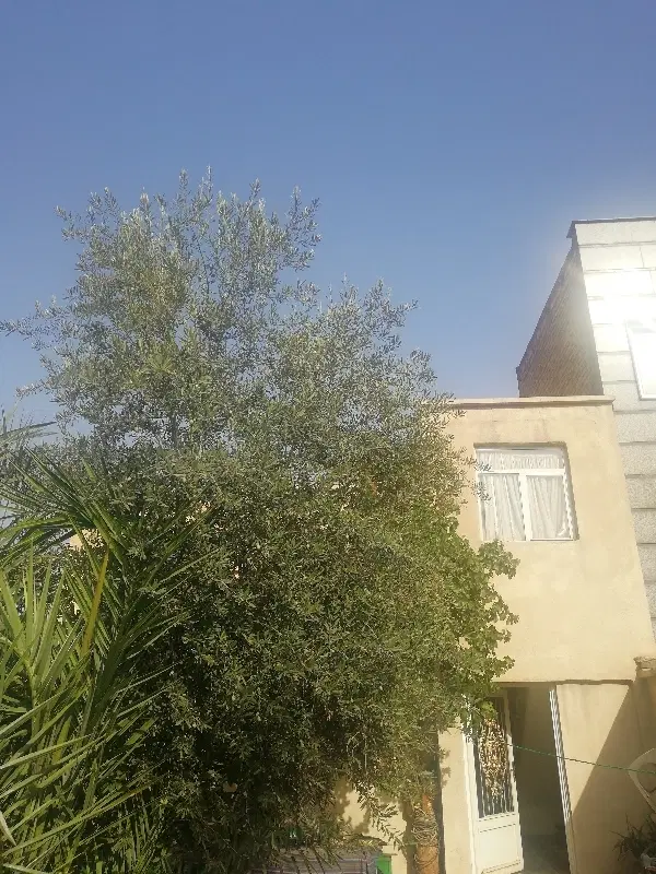 160 متر کلنگی شهرری