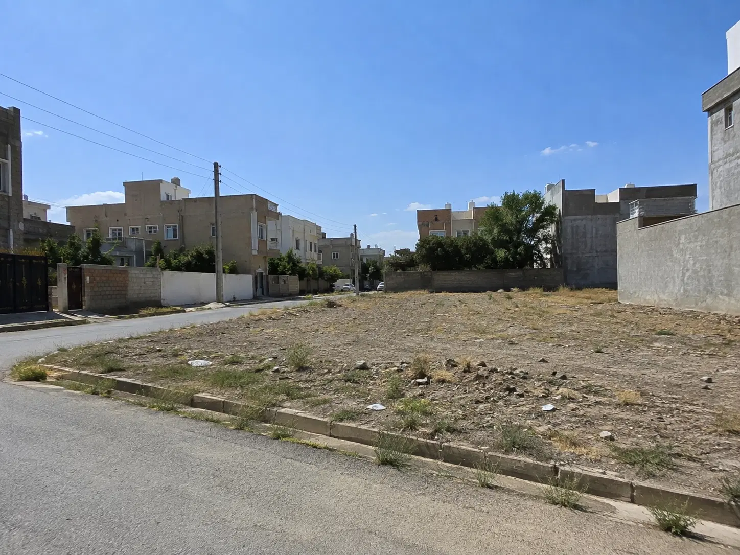 زمین جنوبی با سند تک برگ