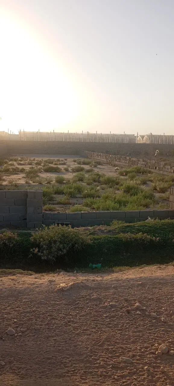 زمین چهاردیواری قلعه سین سندتک برگ