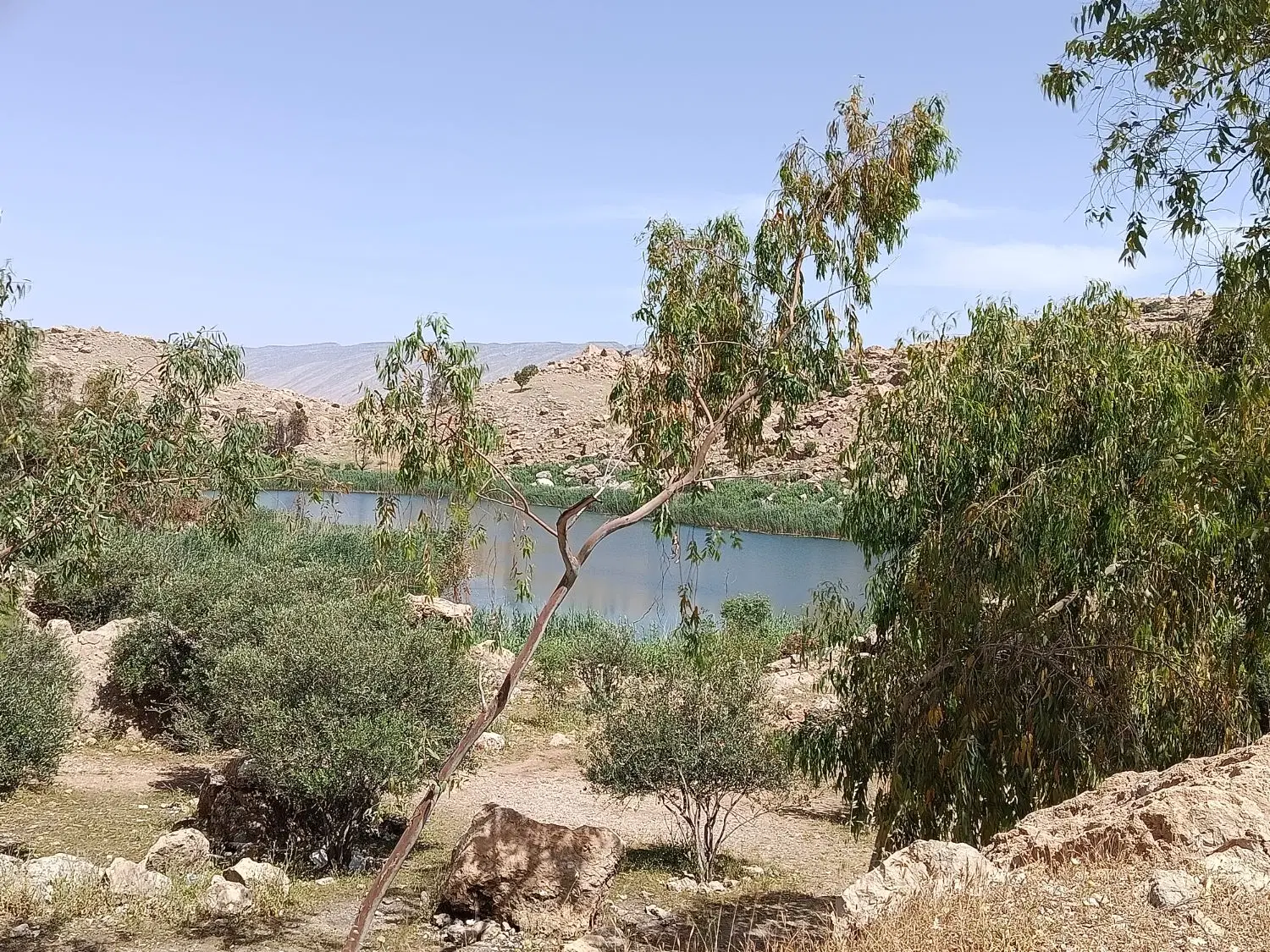 فروش زمین در منابع طبیعی