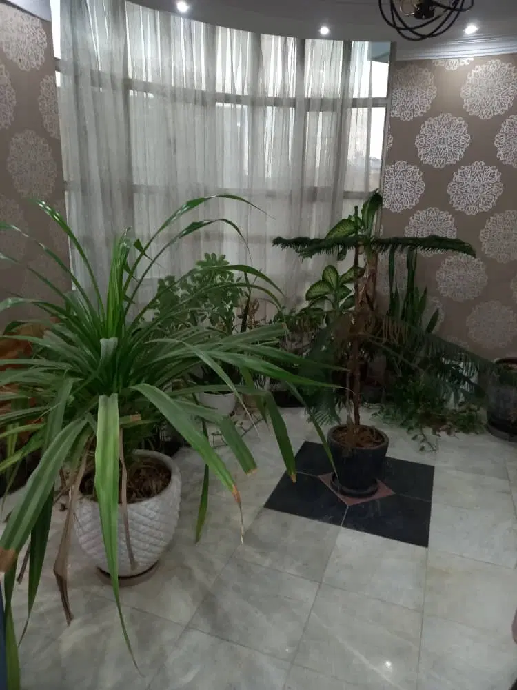۱۴۰ متر ۳خوابه ط دوم گلها یاس کم واحد تخلیه