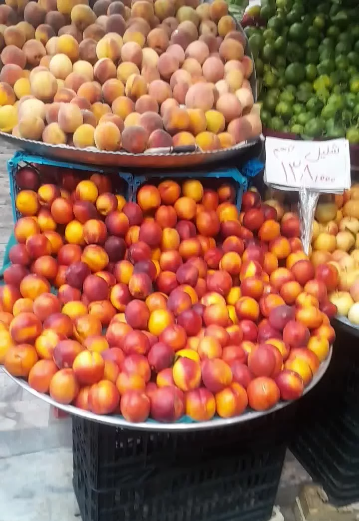 واگزاری میوه فروشی  سرفرازان ۳و۵