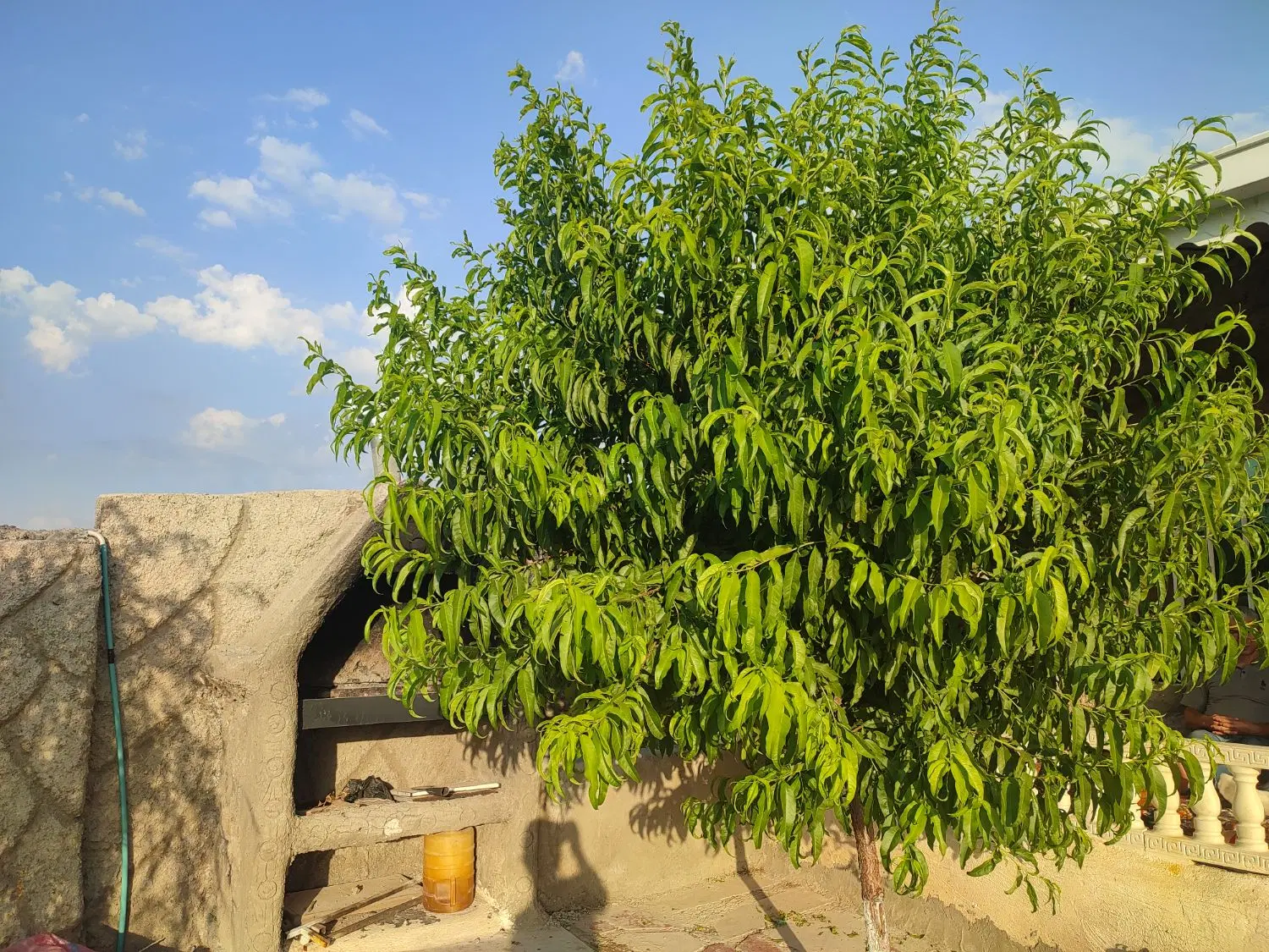 باغ ویلایی ۵۰۰متری