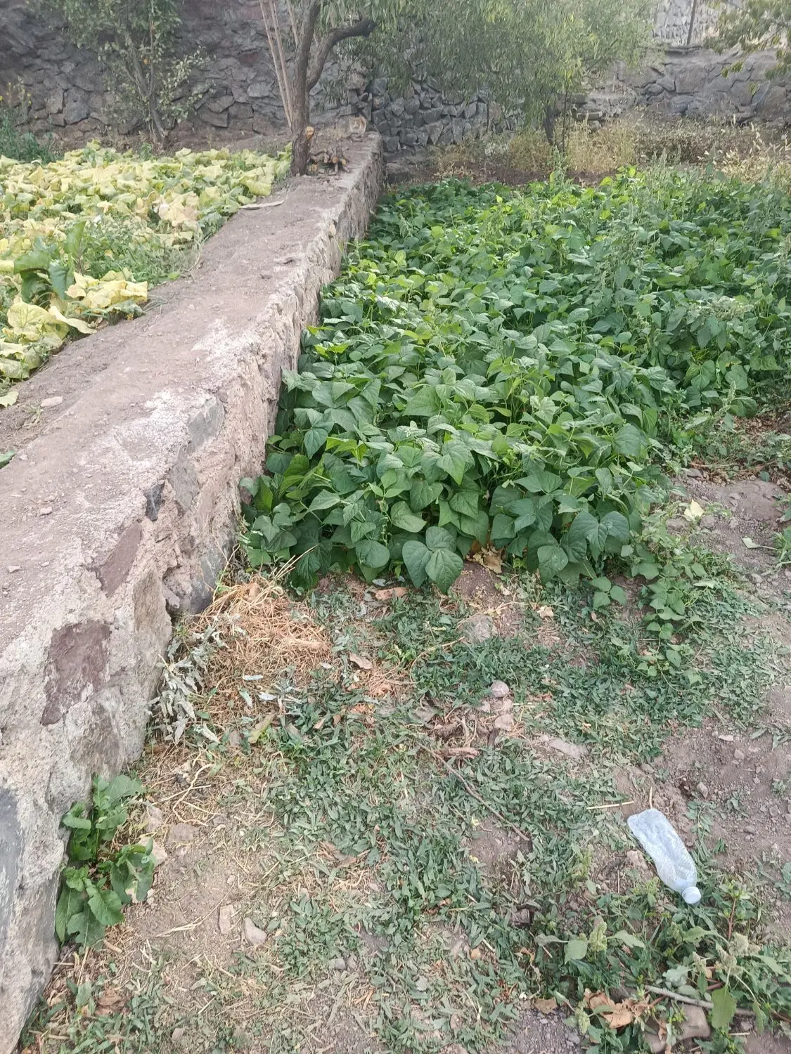 املاک محمدی زمین روستای وشنوه خیابان امام زاده