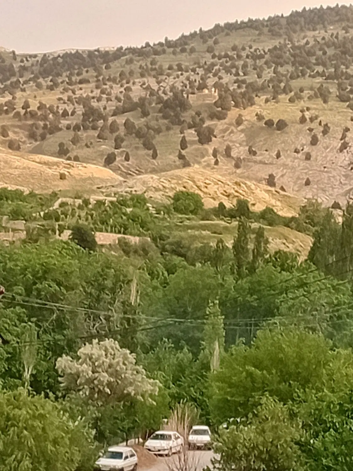 فروش باغات در مهنان