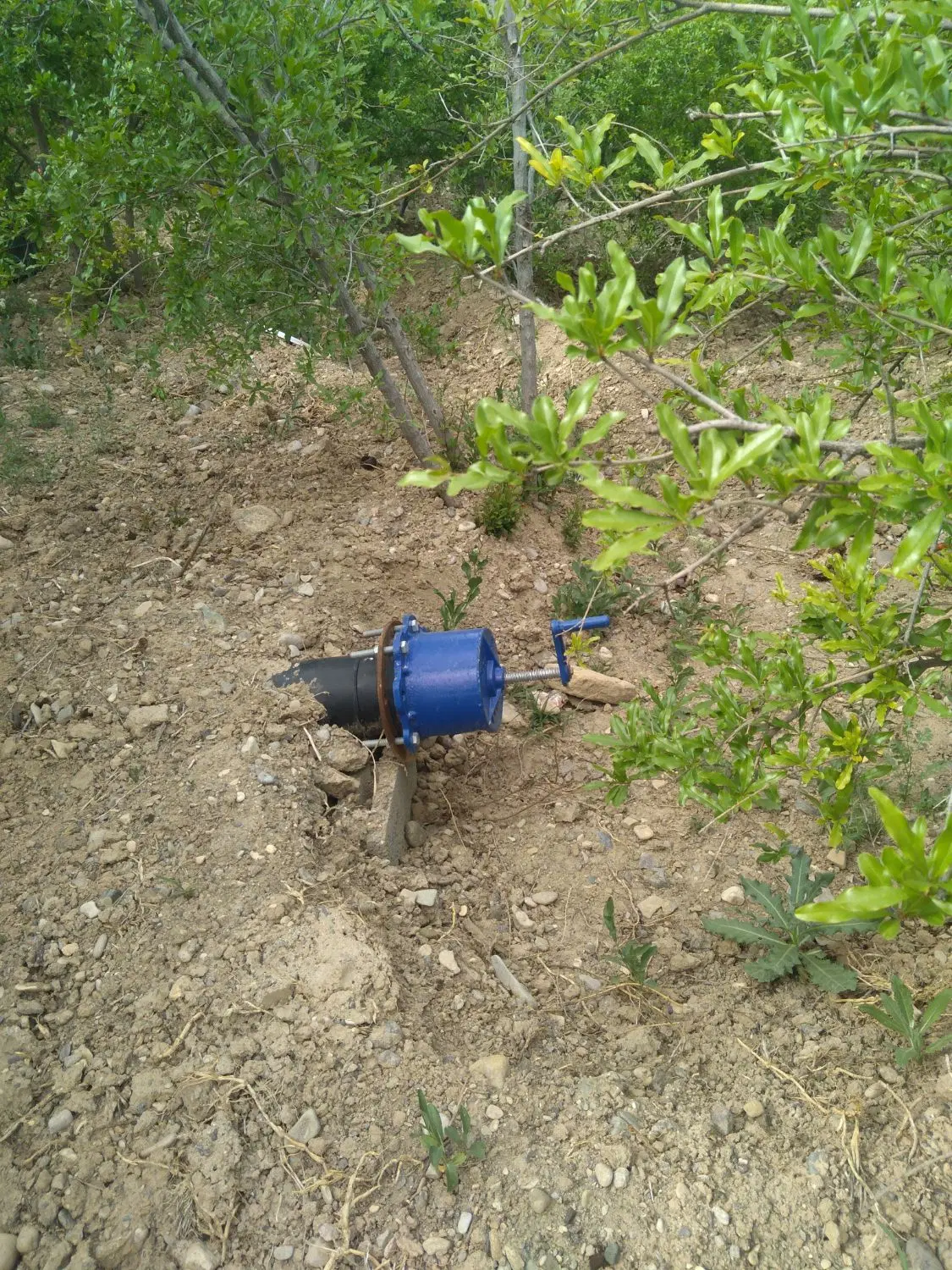 باغ ۱۱۰۰متری درروستای محموداباد،اب فراوان
