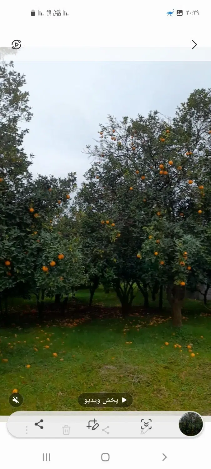 مشاور املاک  حاتمی پور