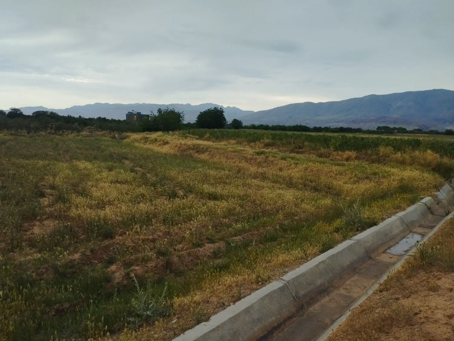زمین فروشی روستای فوشنجان