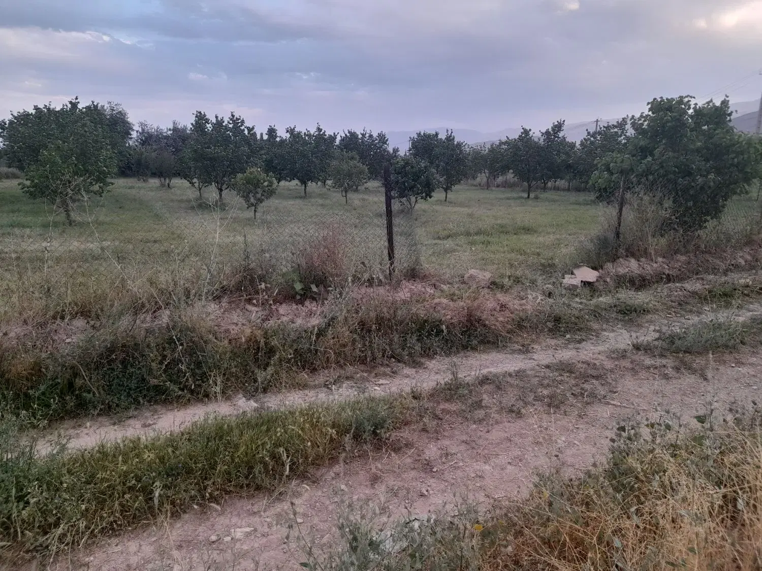 فروش باغ در روستای رند