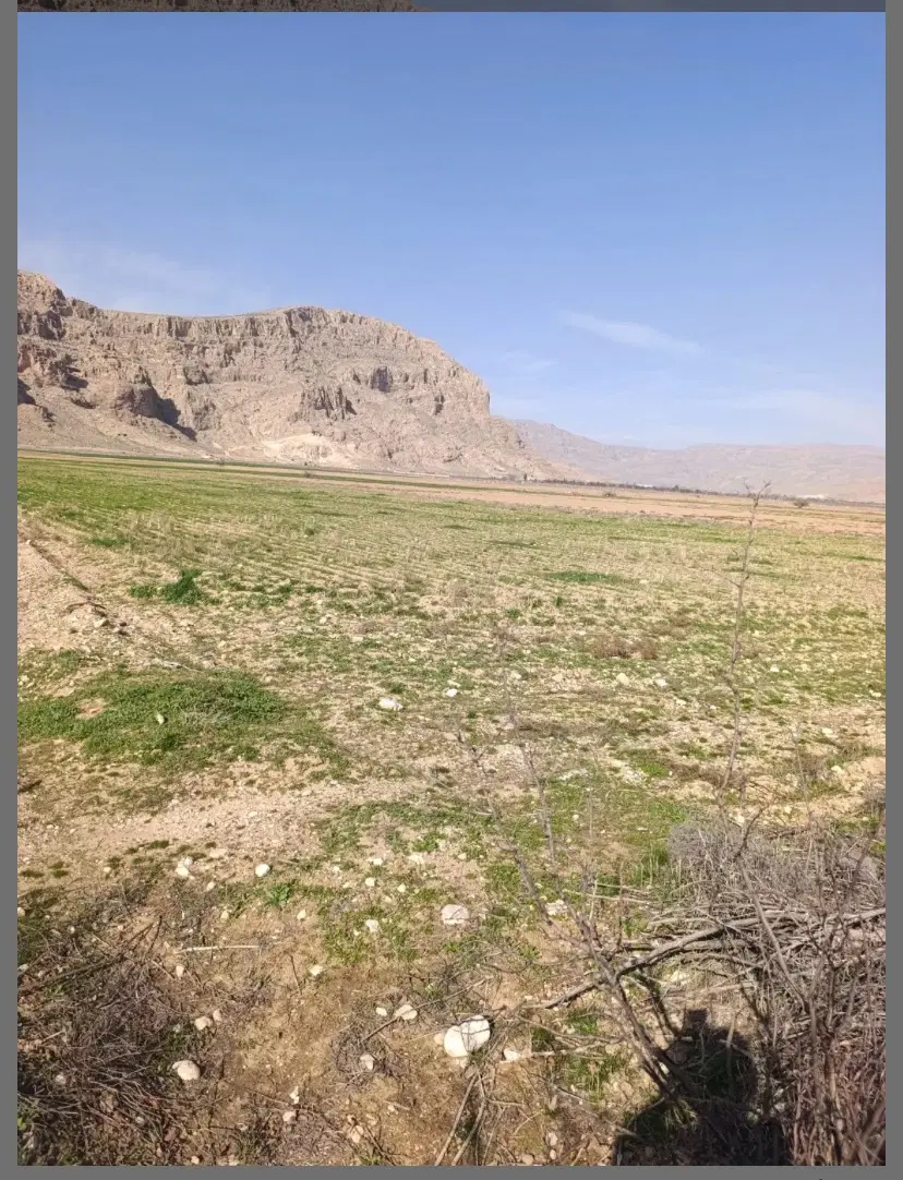 زمین