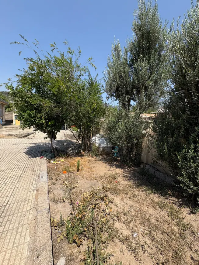 زمین فروشی رستم آباد سند تک برگ