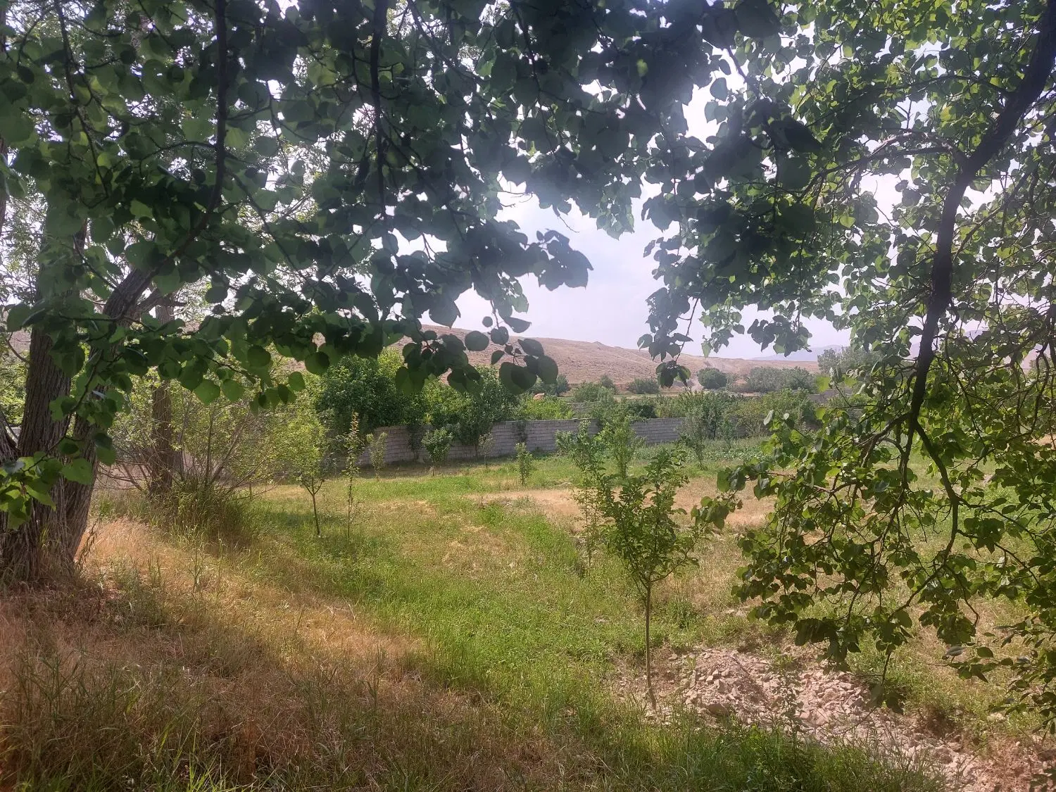 زمین سعید اباد
