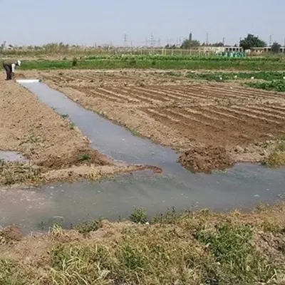 زمین کشاورزی وگلخانه