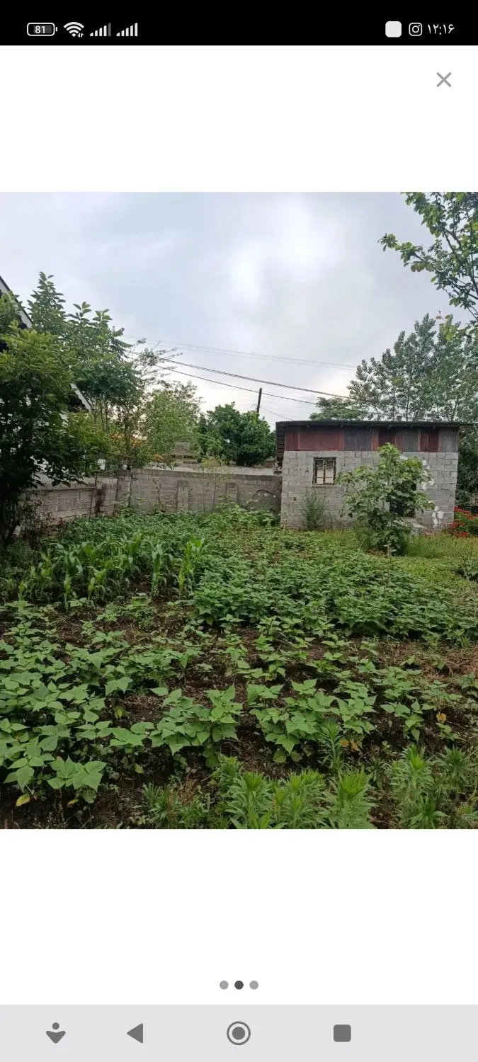 زمین مسکونی