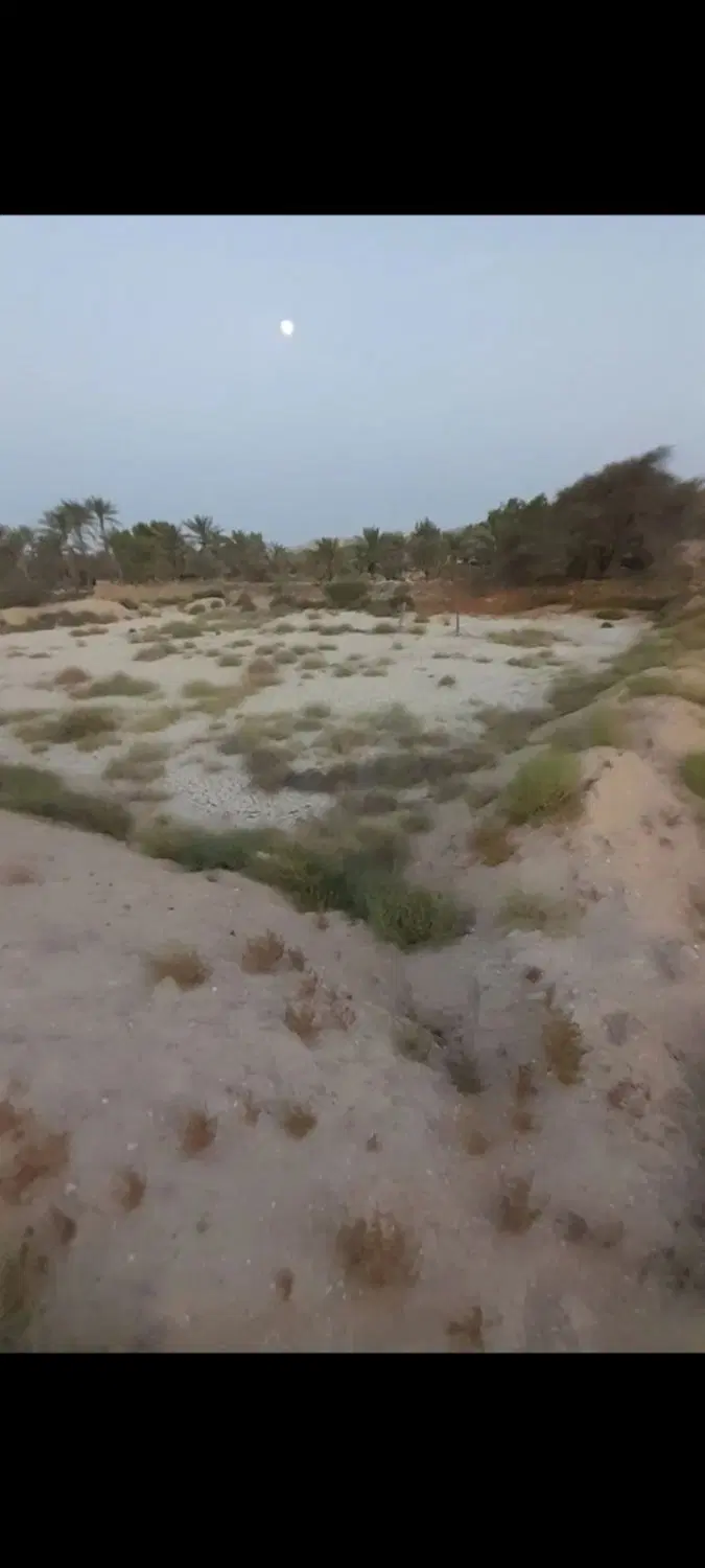 زمین