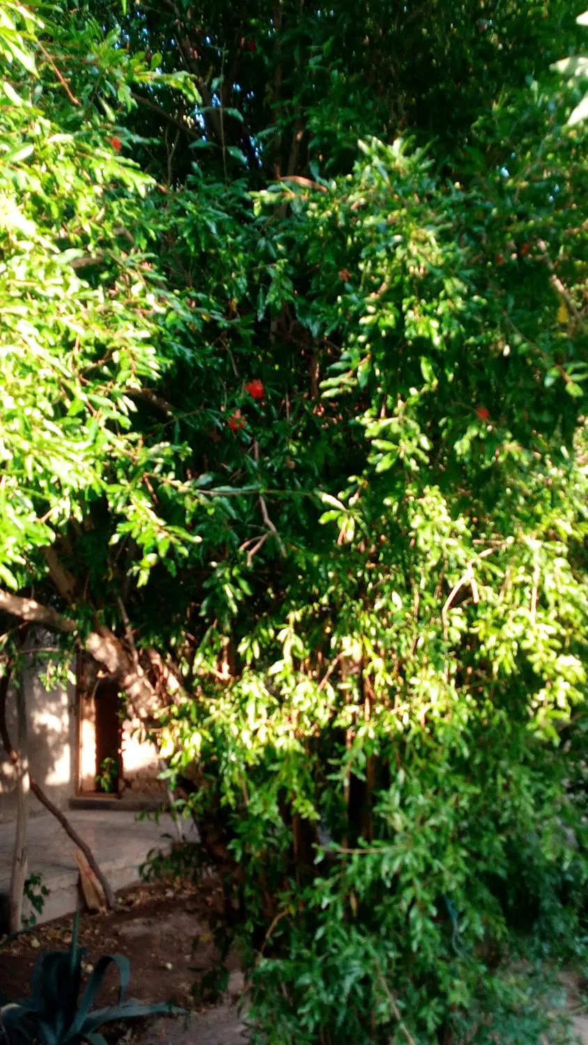 خانه بردسیر