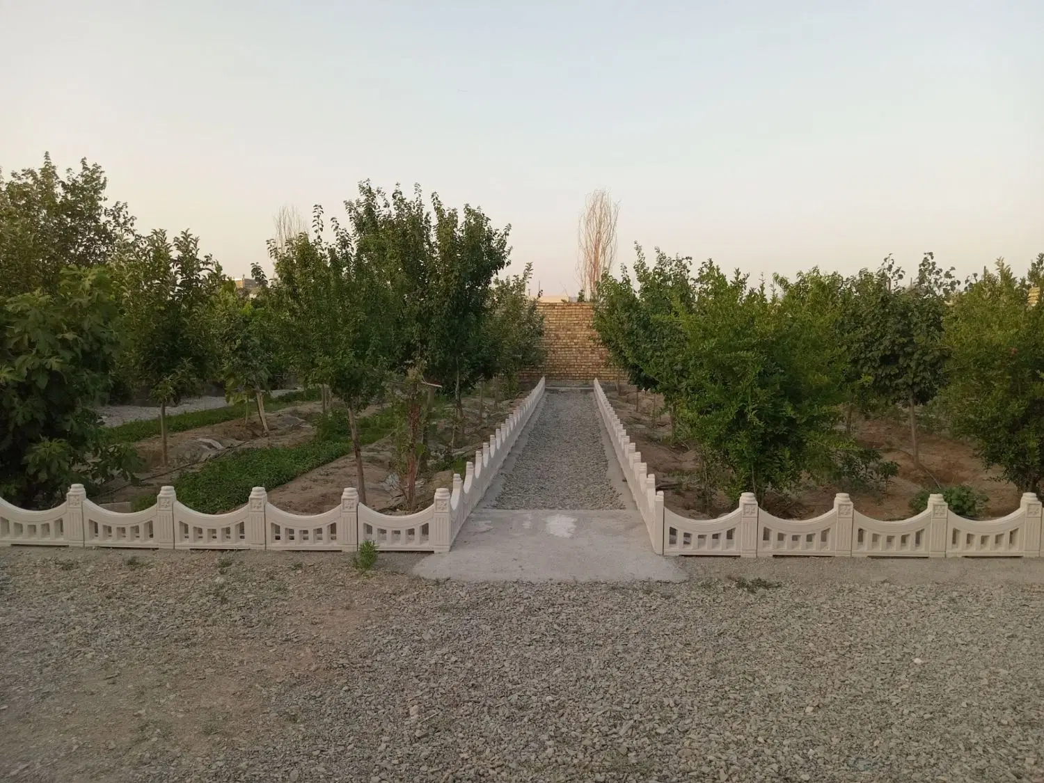 باغ میوه ۵۰۰ متری اول قندشتن