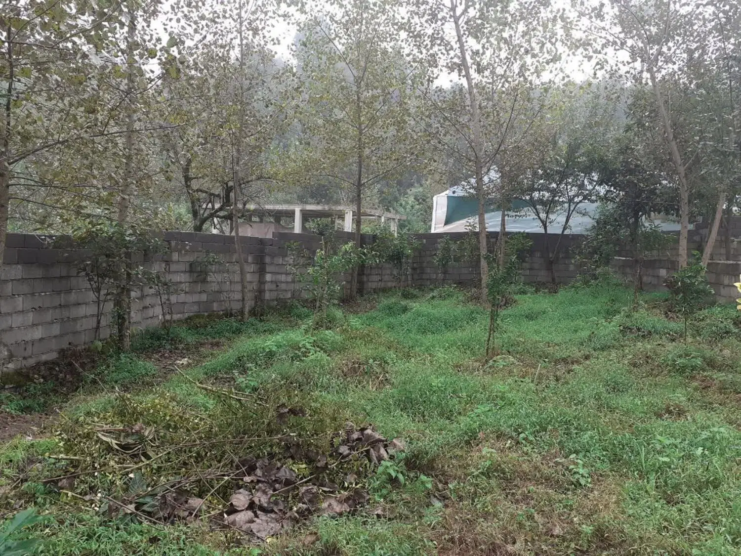 زمین بین نشتارود و عباس آباد شمال