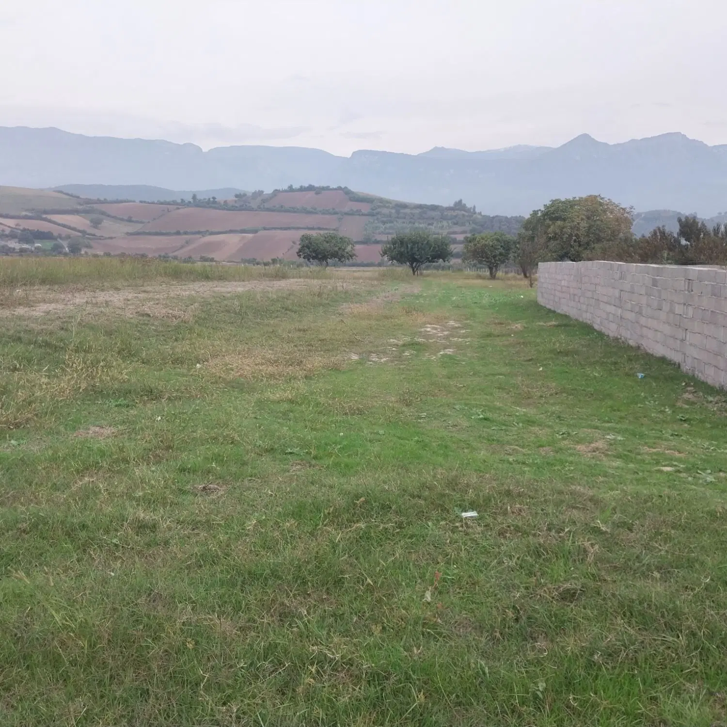 زمین باغی