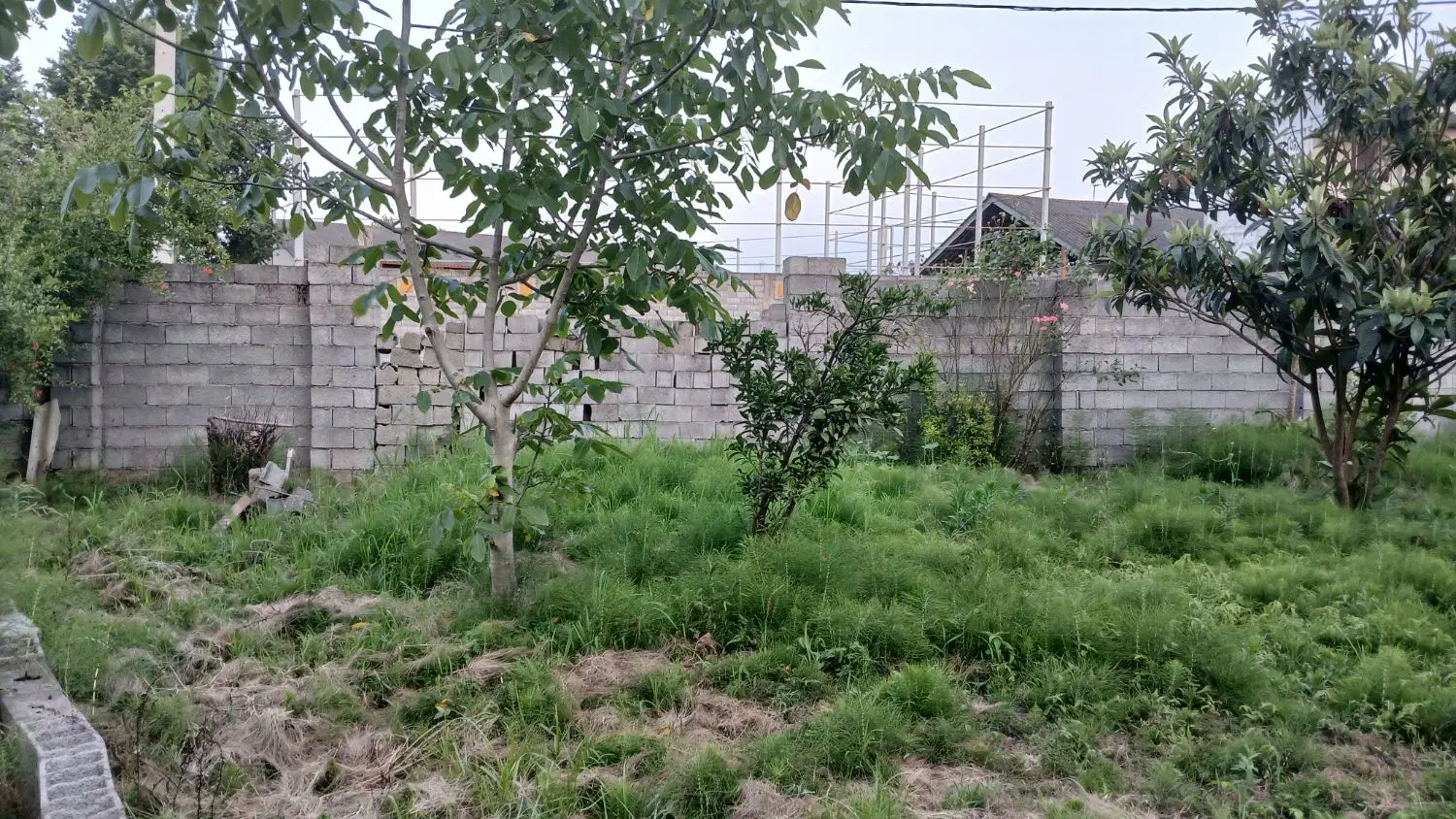 ۴۲۰ متر زمین مسکونی دریاسر. با سند و کاربری مسکونی