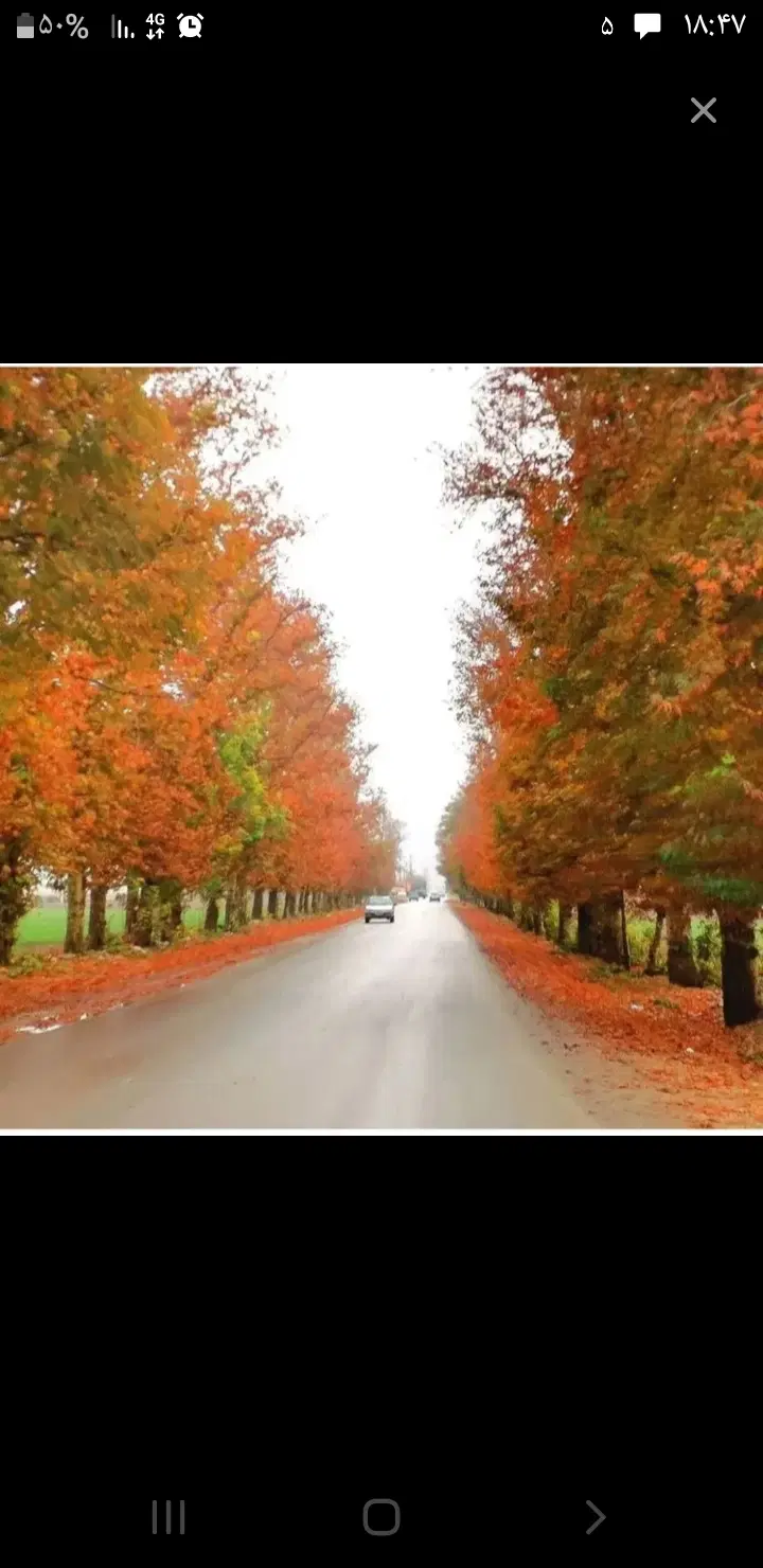 یک دهنه مغازه جنب تالار هخامنش