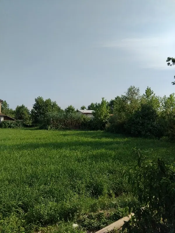 فروش زمین باغی همرا با یک انبار
