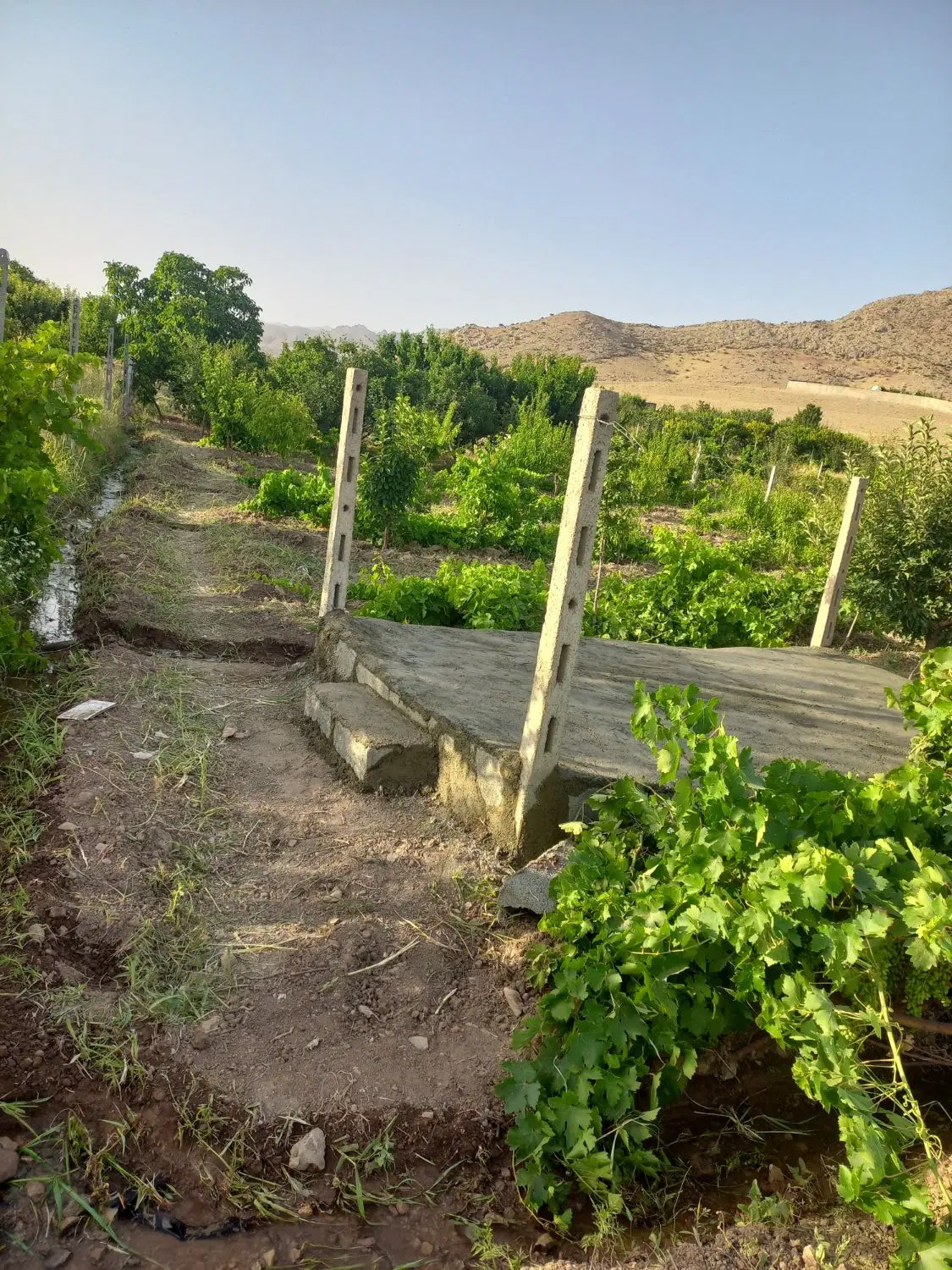باغ فروشی