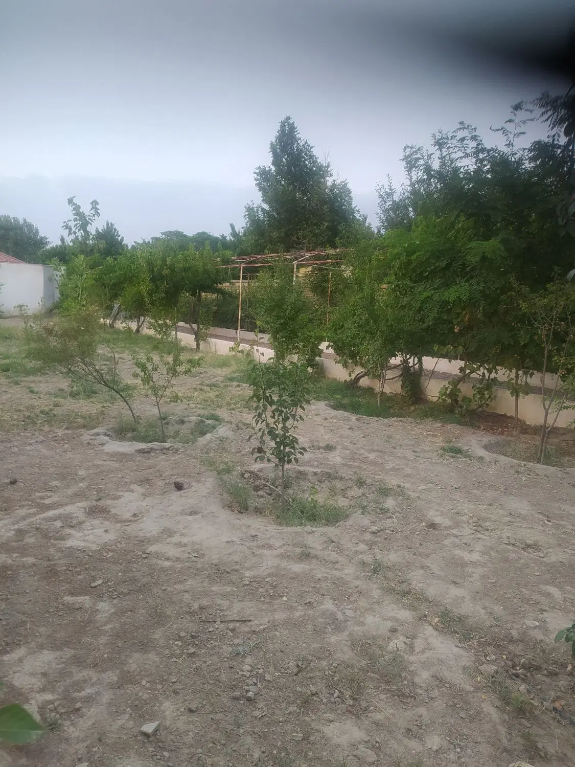باغ اجاره