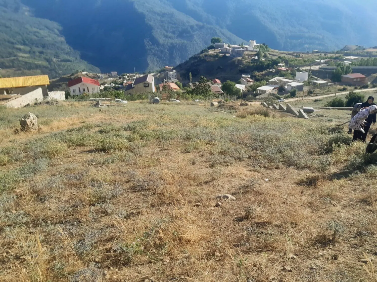 زمین فروشی روستای رضی