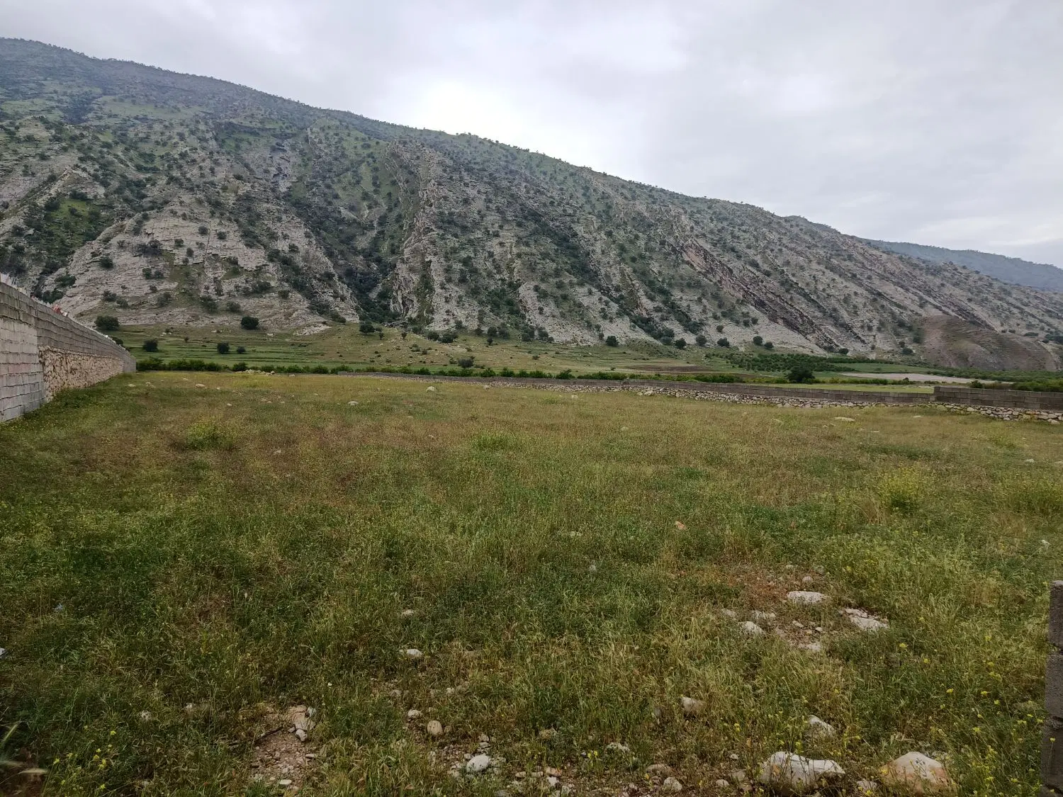 زمین سرجاده اصلی دیل و آرو