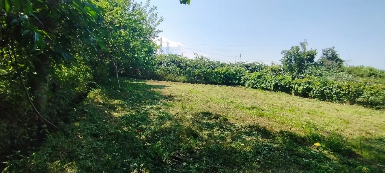 زمین ۳۰۰ متری