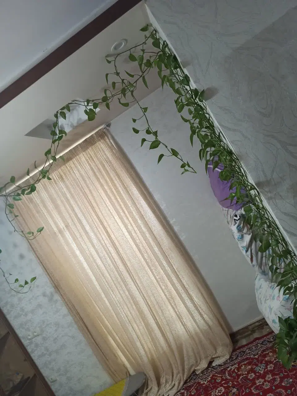 ۱۰۰متر خیابان معرفت شیرخوارگاه