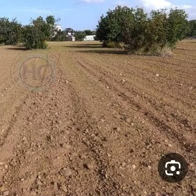 زمین جمکران پلاک ۳۸۰