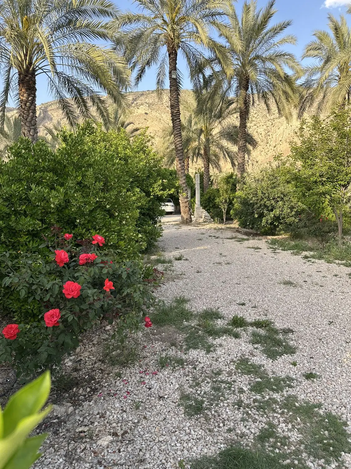 اجاره کوتاه مدت باغ ویلا