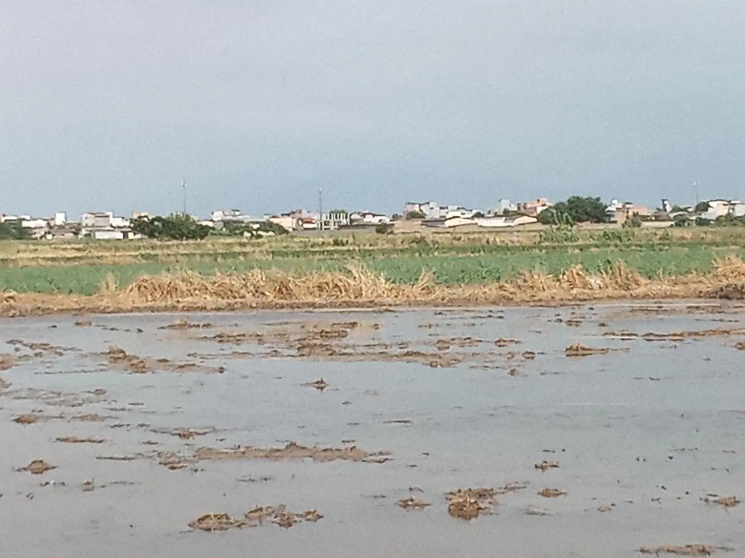 زمین کشاورزی با آب
