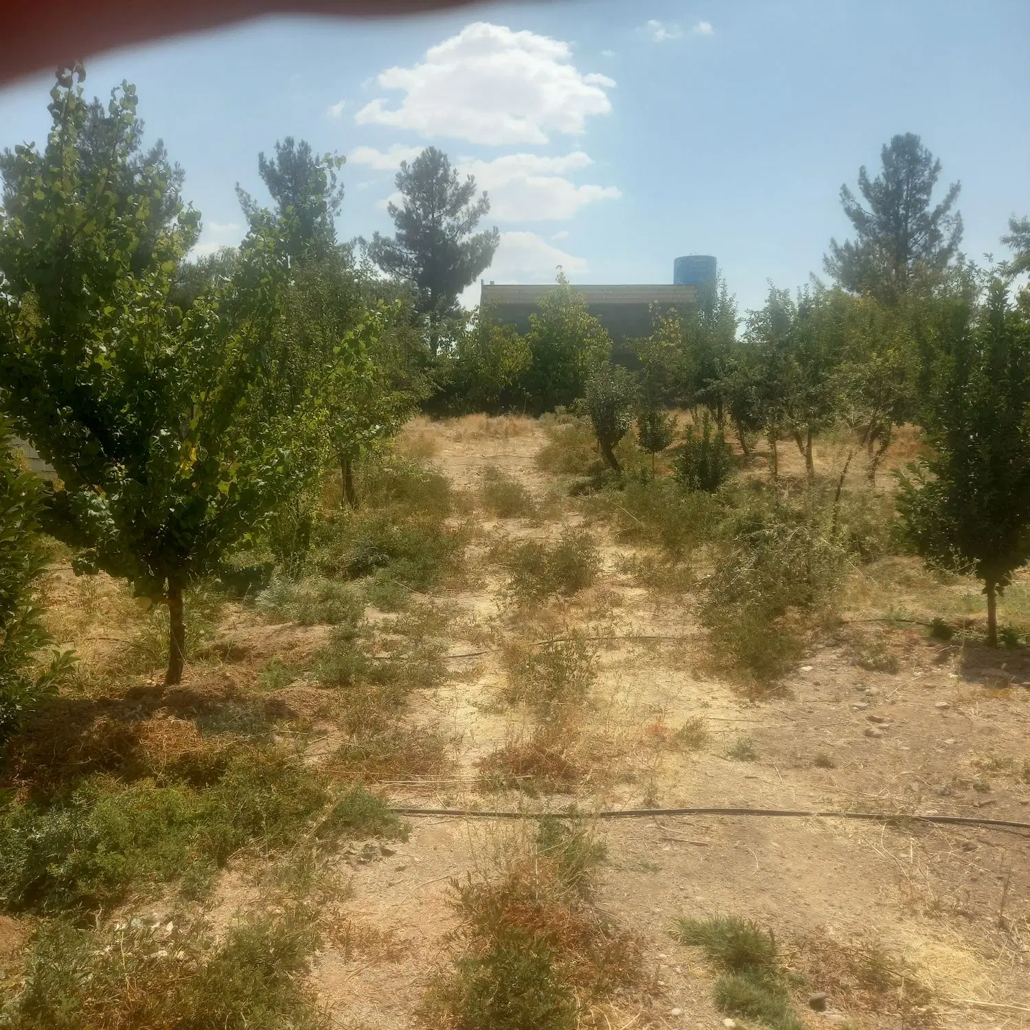 فوش باغشهرپردیس ۲هماشهر دالین وسپیدان