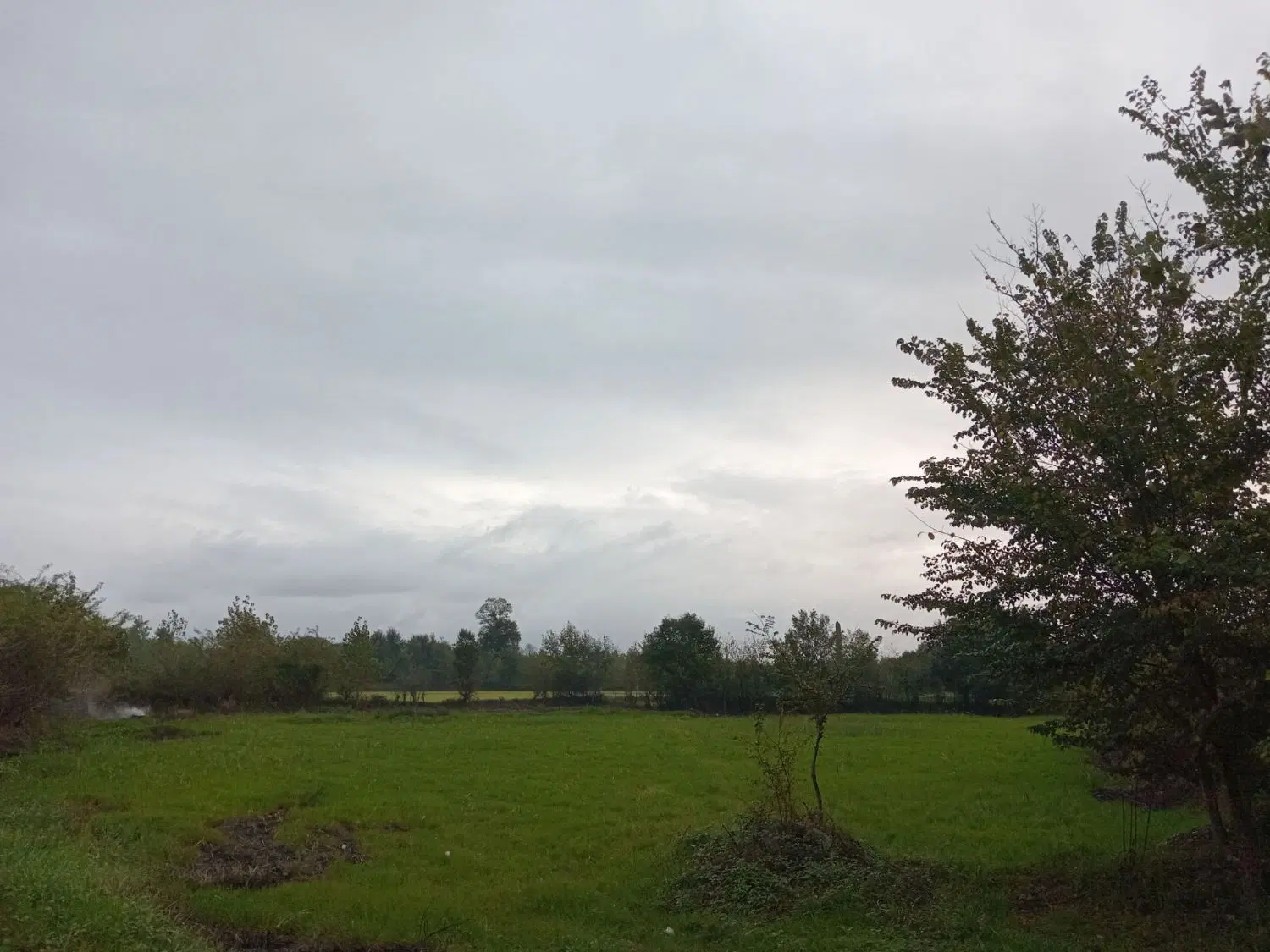 زمین ۸۰۰۰ متری در پسیخان