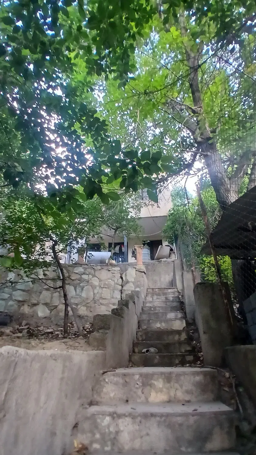 باغچه ۳۰۰متری جاده چالوس((پلخواب))