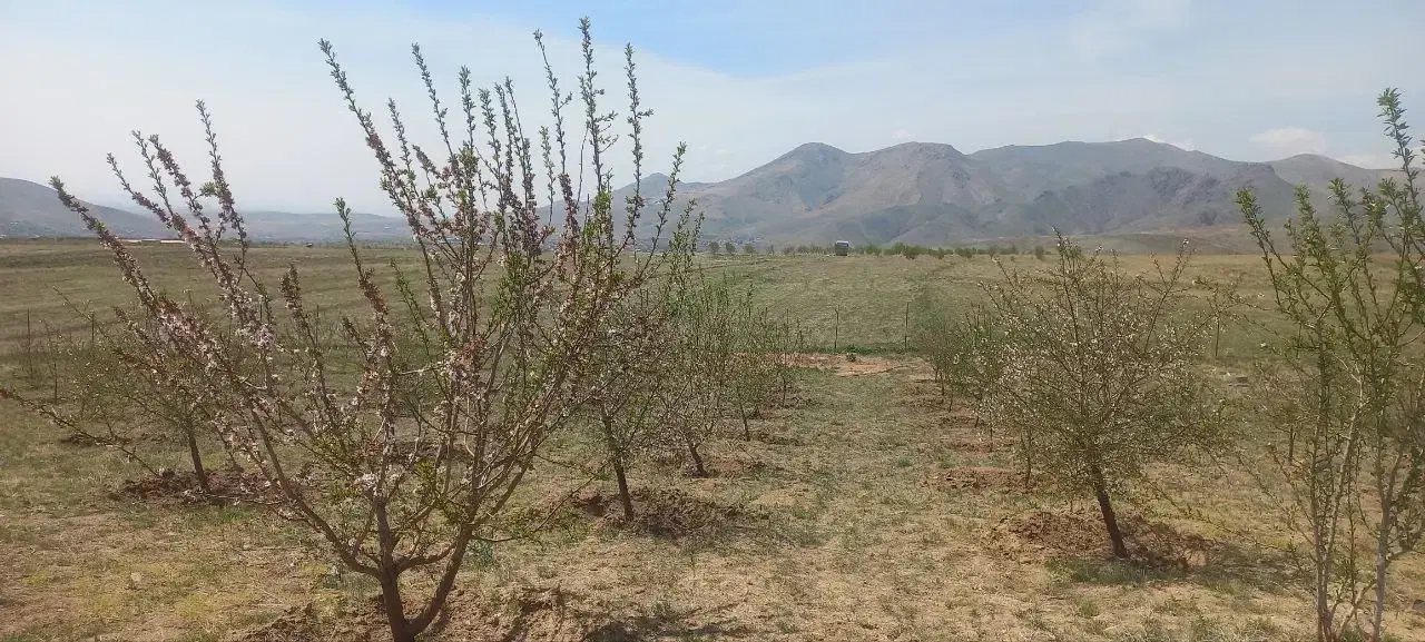 فروش فوری و استثنایی زمین و باغ در رزجرد