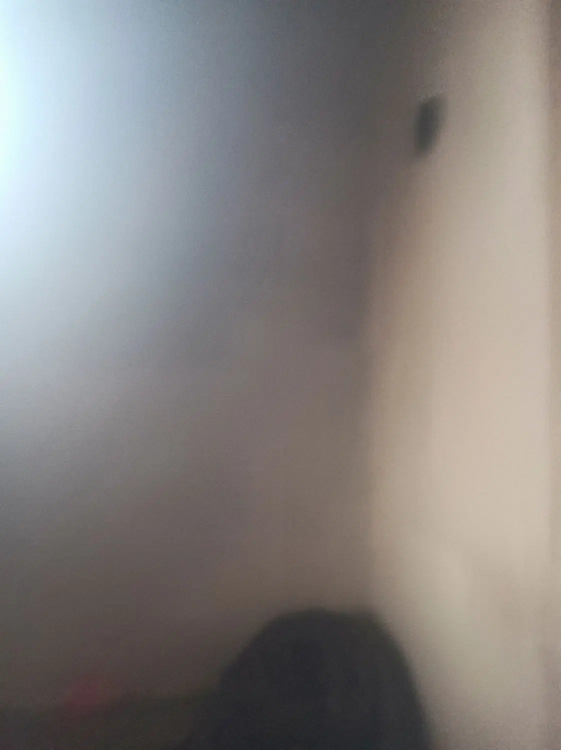 هم خونه