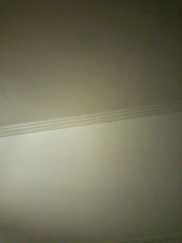 همخانه