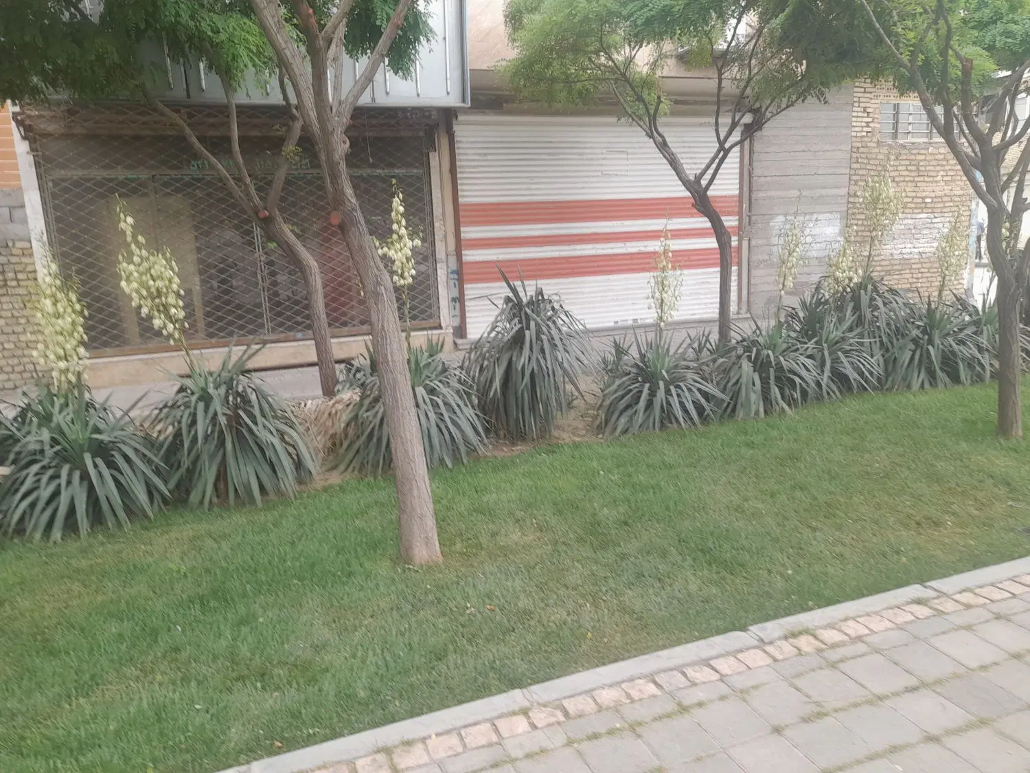 اشپزخانه ورستوران