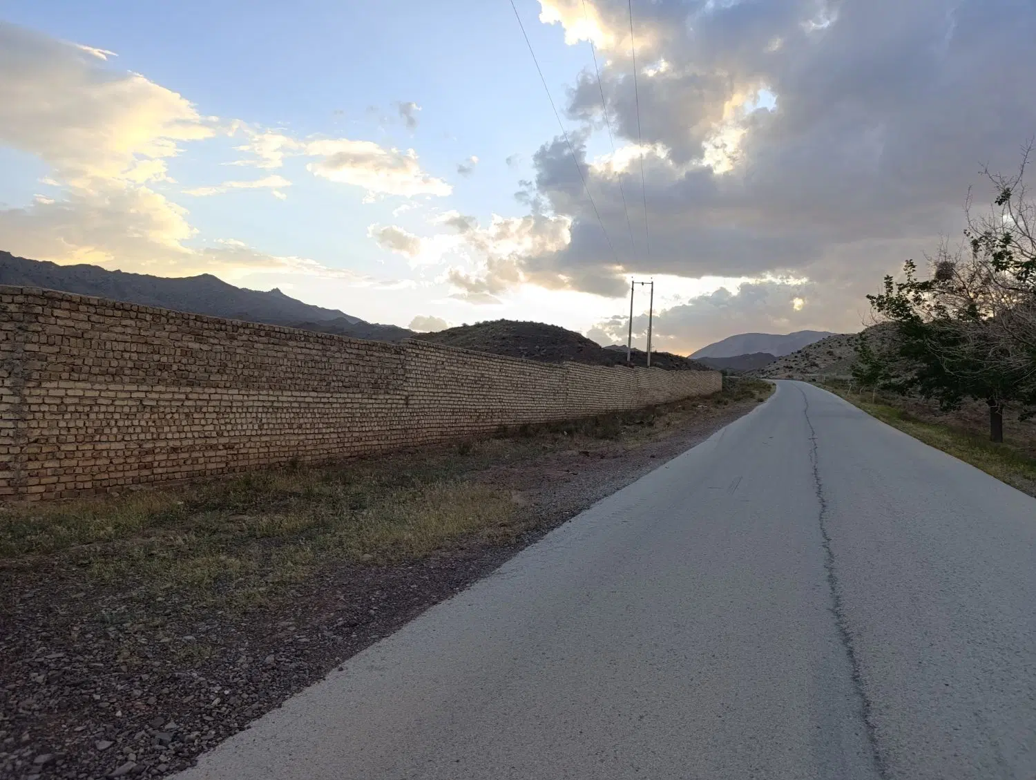 زمین و باغ