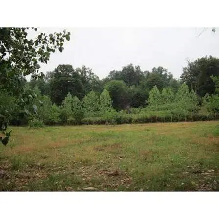 زمین مسکونی ۳۰۰ متری در حسنعلی ده