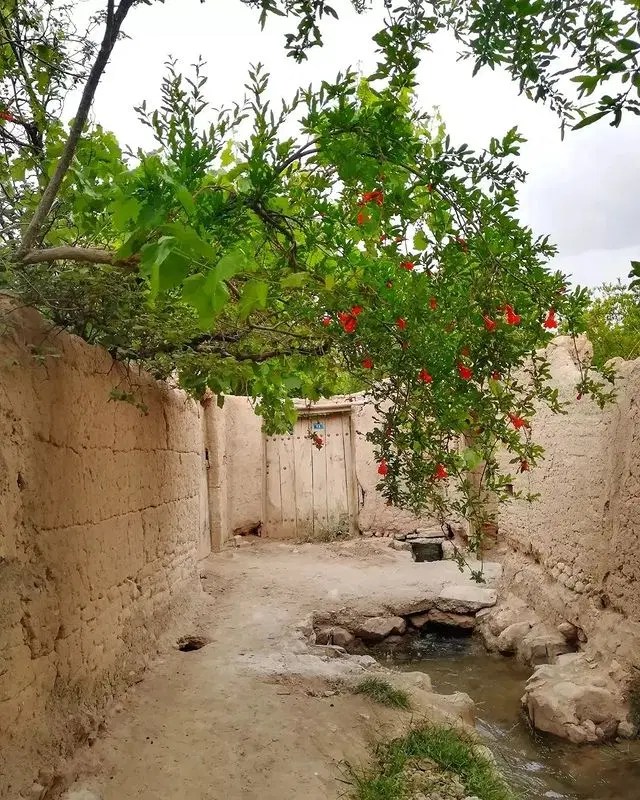 زمین