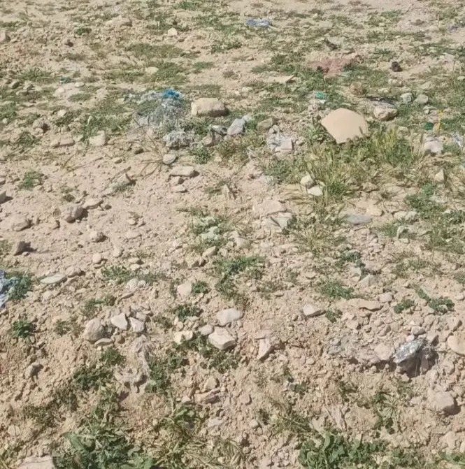 فروش زمین