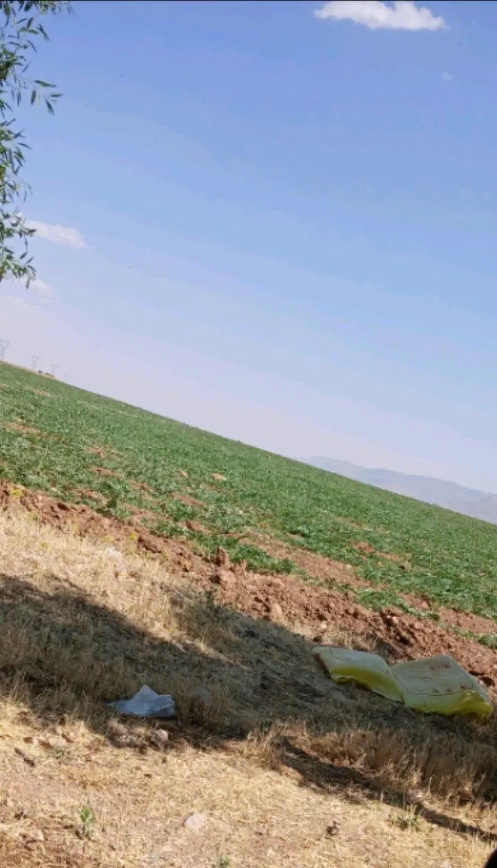 فروش زمین کشاورزی