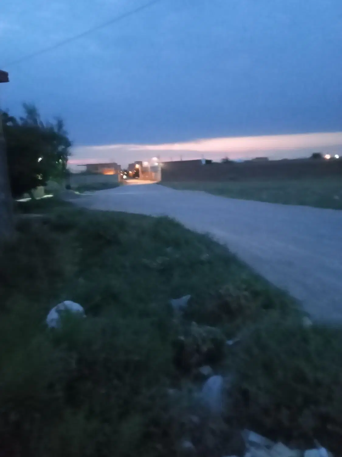باغ معروف
